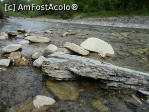 [P07] Albia râului Doftana. » foto by tata123 🔱
 - 
<span class="allrVoted glyphicon glyphicon-heart hidden" id="av1166680"></span>
<a class="m-l-10 hidden" id="sv1166680" onclick="voting_Foto_DelVot(,1166680,4099)" role="button">șterge vot <span class="glyphicon glyphicon-remove"></span></a>
<a id="v91166680" class=" c-red"  onclick="voting_Foto_SetVot(1166680)" role="button"><span class="glyphicon glyphicon-heart-empty"></span> <b>LIKE</b> = Votează poza</a> <img class="hidden"  id="f1166680W9" src="/imagini/loader.gif" border="0" /><span class="AjErrMes hidden" id="e1166680ErM"></span>
