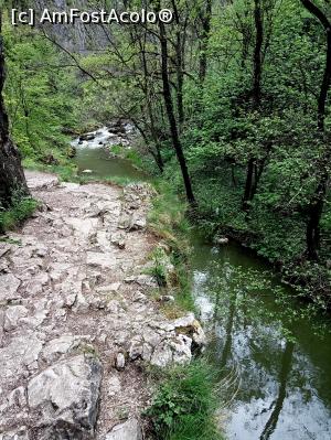 [P28] Cheile Turzii, jud. Cluj, mai 2017 » foto by Dana2008
 - 
<span class="allrVoted glyphicon glyphicon-heart hidden" id="av855663"></span>
<a class="m-l-10 hidden" id="sv855663" onclick="voting_Foto_DelVot(,855663,4100)" role="button">șterge vot <span class="glyphicon glyphicon-remove"></span></a>
<a id="v9855663" class=" c-red"  onclick="voting_Foto_SetVot(855663)" role="button"><span class="glyphicon glyphicon-heart-empty"></span> <b>LIKE</b> = Votează poza</a> <img class="hidden"  id="f855663W9" src="/imagini/loader.gif" border="0" /><span class="AjErrMes hidden" id="e855663ErM"></span>