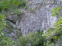 [P11] Peretele pe care se fac catarari de catre alpinisti » foto by Andc
 - 
<span class="allrVoted glyphicon glyphicon-heart hidden" id="av34472"></span>
<a class="m-l-10 hidden" id="sv34472" onclick="voting_Foto_DelVot(,34472,4100)" role="button">șterge vot <span class="glyphicon glyphicon-remove"></span></a>
<a id="v934472" class=" c-red"  onclick="voting_Foto_SetVot(34472)" role="button"><span class="glyphicon glyphicon-heart-empty"></span> <b>LIKE</b> = Votează poza</a> <img class="hidden"  id="f34472W9" src="/imagini/loader.gif" border="0" /><span class="AjErrMes hidden" id="e34472ErM"></span>