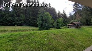 [P13] Tăpșan în curte » foto by Mitica49
 - 
<span class="allrVoted glyphicon glyphicon-heart hidden" id="av1414726"></span>
<a class="m-l-10 hidden" id="sv1414726" onclick="voting_Foto_DelVot(,1414726,4103)" role="button">șterge vot <span class="glyphicon glyphicon-remove"></span></a>
<a id="v91414726" class=" c-red"  onclick="voting_Foto_SetVot(1414726)" role="button"><span class="glyphicon glyphicon-heart-empty"></span> <b>LIKE</b> = Votează poza</a> <img class="hidden"  id="f1414726W9" src="/imagini/loader.gif" border="0" /><span class="AjErrMes hidden" id="e1414726ErM"></span>