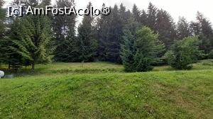 [P21] Verde de toate nuanțele » foto by Mitica49
 - 
<span class="allrVoted glyphicon glyphicon-heart hidden" id="av1414734"></span>
<a class="m-l-10 hidden" id="sv1414734" onclick="voting_Foto_DelVot(,1414734,4103)" role="button">șterge vot <span class="glyphicon glyphicon-remove"></span></a>
<a id="v91414734" class=" c-red"  onclick="voting_Foto_SetVot(1414734)" role="button"><span class="glyphicon glyphicon-heart-empty"></span> <b>LIKE</b> = Votează poza</a> <img class="hidden"  id="f1414734W9" src="/imagini/loader.gif" border="0" /><span class="AjErrMes hidden" id="e1414734ErM"></span>