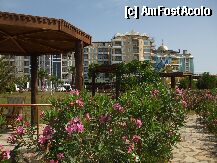 [P12]  -- <small>// FĂRĂ DESCRIERE</small> » foto by lilacrocodila
 - 
<span class="allrVoted glyphicon glyphicon-heart hidden" id="av8853"></span>
<a class="m-l-10 hidden" id="sv8853" onclick="voting_Foto_DelVot(,8853,4114)" role="button">șterge vot <span class="glyphicon glyphicon-remove"></span></a>
<a id="v98853" class=" c-red"  onclick="voting_Foto_SetVot(8853)" role="button"><span class="glyphicon glyphicon-heart-empty"></span> <b>LIKE</b> = Votează poza</a> <img class="hidden"  id="f8853W9" src="/imagini/loader.gif" border="0" /><span class="AjErrMes hidden" id="e8853ErM"></span>