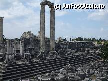 [P18]  -- <small>// FĂRĂ DESCRIERE</small> » foto by lilacrocodila
 - 
<span class="allrVoted glyphicon glyphicon-heart hidden" id="av8859"></span>
<a class="m-l-10 hidden" id="sv8859" onclick="voting_Foto_DelVot(,8859,4114)" role="button">șterge vot <span class="glyphicon glyphicon-remove"></span></a>
<a id="v98859" class=" c-red"  onclick="voting_Foto_SetVot(8859)" role="button"><span class="glyphicon glyphicon-heart-empty"></span> <b>LIKE</b> = Votează poza</a> <img class="hidden"  id="f8859W9" src="/imagini/loader.gif" border="0" /><span class="AjErrMes hidden" id="e8859ErM"></span>