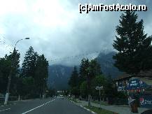 [P01] In drum spre Sinaia » foto by geta10
 - 
<span class="allrVoted glyphicon glyphicon-heart hidden" id="av346839"></span>
<a class="m-l-10 hidden" id="sv346839" onclick="voting_Foto_DelVot(,346839,4117)" role="button">șterge vot <span class="glyphicon glyphicon-remove"></span></a>
<a id="v9346839" class=" c-red"  onclick="voting_Foto_SetVot(346839)" role="button"><span class="glyphicon glyphicon-heart-empty"></span> <b>LIKE</b> = Votează poza</a> <img class="hidden"  id="f346839W9" src="/imagini/loader.gif" border="0" /><span class="AjErrMes hidden" id="e346839ErM"></span>