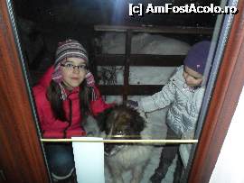 [P06]  -- <small>// FĂRĂ DESCRIERE</small> » foto by danalix
 - 
<span class="allrVoted glyphicon glyphicon-heart hidden" id="av401807"></span>
<a class="m-l-10 hidden" id="sv401807" onclick="voting_Foto_DelVot(,401807,4117)" role="button">șterge vot <span class="glyphicon glyphicon-remove"></span></a>
<a id="v9401807" class=" c-red"  onclick="voting_Foto_SetVot(401807)" role="button"><span class="glyphicon glyphicon-heart-empty"></span> <b>LIKE</b> = Votează poza</a> <img class="hidden"  id="f401807W9" src="/imagini/loader.gif" border="0" /><span class="AjErrMes hidden" id="e401807ErM"></span>