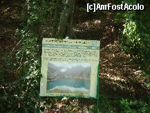 [P13] Un alt indicator, la poalele serpentinelor, după care ne aşteaptă Lacul Iezer. » foto by creivean
 - 
<span class="allrVoted glyphicon glyphicon-heart hidden" id="av120961"></span>
<a class="m-l-10 hidden" id="sv120961" onclick="voting_Foto_DelVot(,120961,4139)" role="button">șterge vot <span class="glyphicon glyphicon-remove"></span></a>
<a id="v9120961" class=" c-red"  onclick="voting_Foto_SetVot(120961)" role="button"><span class="glyphicon glyphicon-heart-empty"></span> <b>LIKE</b> = Votează poza</a> <img class="hidden"  id="f120961W9" src="/imagini/loader.gif" border="0" /><span class="AjErrMes hidden" id="e120961ErM"></span>