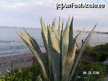 [P06] pe plaja hotelului » foto by kmy
 - 
<span class="allrVoted glyphicon glyphicon-heart hidden" id="av36080"></span>
<a class="m-l-10 hidden" id="sv36080" onclick="voting_Foto_DelVot(,36080,4144)" role="button">șterge vot <span class="glyphicon glyphicon-remove"></span></a>
<a id="v936080" class=" c-red"  onclick="voting_Foto_SetVot(36080)" role="button"><span class="glyphicon glyphicon-heart-empty"></span> <b>LIKE</b> = Votează poza</a> <img class="hidden"  id="f36080W9" src="/imagini/loader.gif" border="0" /><span class="AjErrMes hidden" id="e36080ErM"></span>
