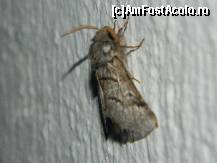 [P07] musafirii nostri, a mai fost si o soparla dar a plecat repede » foto by Solomon29
 - 
<span class="allrVoted glyphicon glyphicon-heart hidden" id="av468229"></span>
<a class="m-l-10 hidden" id="sv468229" onclick="voting_Foto_DelVot(,468229,4144)" role="button">șterge vot <span class="glyphicon glyphicon-remove"></span></a>
<a id="v9468229" class=" c-red"  onclick="voting_Foto_SetVot(468229)" role="button"><span class="glyphicon glyphicon-heart-empty"></span> <b>LIKE</b> = Votează poza</a> <img class="hidden"  id="f468229W9" src="/imagini/loader.gif" border="0" /><span class="AjErrMes hidden" id="e468229ErM"></span>