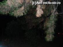 [P08] privelistea din camera, preturi foarte mari la bar. Barul de la receptie iti dadea o cafeluta si un paharel cu apa pe 3 euro pe cand cel de pe plaja, tot al lor, o cafea sanatoasa si o sticla de apa la 0.5 tot la 3 euro » foto by Solomon29
 - 
<span class="allrVoted glyphicon glyphicon-heart hidden" id="av468231"></span>
<a class="m-l-10 hidden" id="sv468231" onclick="voting_Foto_DelVot(,468231,4144)" role="button">șterge vot <span class="glyphicon glyphicon-remove"></span></a>
<a id="v9468231" class=" c-red"  onclick="voting_Foto_SetVot(468231)" role="button"><span class="glyphicon glyphicon-heart-empty"></span> <b>LIKE</b> = Votează poza</a> <img class="hidden"  id="f468231W9" src="/imagini/loader.gif" border="0" /><span class="AjErrMes hidden" id="e468231ErM"></span>