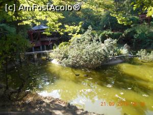 [P07] Gradina Japoneză » foto by zlatna
 - 
<span class="allrVoted glyphicon glyphicon-heart hidden" id="av1200422"></span>
<a class="m-l-10 hidden" id="sv1200422" onclick="voting_Foto_DelVot(,1200422,4148)" role="button">șterge vot <span class="glyphicon glyphicon-remove"></span></a>
<a id="v91200422" class=" c-red"  onclick="voting_Foto_SetVot(1200422)" role="button"><span class="glyphicon glyphicon-heart-empty"></span> <b>LIKE</b> = Votează poza</a> <img class="hidden"  id="f1200422W9" src="/imagini/loader.gif" border="0" /><span class="AjErrMes hidden" id="e1200422ErM"></span>