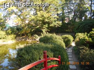 [P09] Gradina Japoneză » foto by zlatna
 - 
<span class="allrVoted glyphicon glyphicon-heart hidden" id="av1200424"></span>
<a class="m-l-10 hidden" id="sv1200424" onclick="voting_Foto_DelVot(,1200424,4148)" role="button">șterge vot <span class="glyphicon glyphicon-remove"></span></a>
<a id="v91200424" class=" c-red"  onclick="voting_Foto_SetVot(1200424)" role="button"><span class="glyphicon glyphicon-heart-empty"></span> <b>LIKE</b> = Votează poza</a> <img class="hidden"  id="f1200424W9" src="/imagini/loader.gif" border="0" /><span class="AjErrMes hidden" id="e1200424ErM"></span>