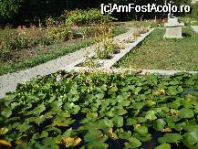 [P32] Gradina botanica din Cluj-Napoca - din pacate unele bazine sunt neingrijite » foto by danoradea
 - 
<span class="allrVoted glyphicon glyphicon-heart hidden" id="av33392"></span>
<a class="m-l-10 hidden" id="sv33392" onclick="voting_Foto_DelVot(,33392,4148)" role="button">șterge vot <span class="glyphicon glyphicon-remove"></span></a>
<a id="v933392" class=" c-red"  onclick="voting_Foto_SetVot(33392)" role="button"><span class="glyphicon glyphicon-heart-empty"></span> <b>LIKE</b> = Votează poza</a> <img class="hidden"  id="f33392W9" src="/imagini/loader.gif" border="0" /><span class="AjErrMes hidden" id="e33392ErM"></span>