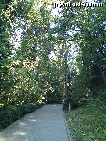 [P34] Gradina botanica din Cluj-Napoca » foto by danoradea
 - 
<span class="allrVoted glyphicon glyphicon-heart hidden" id="av33397"></span>
<a class="m-l-10 hidden" id="sv33397" onclick="voting_Foto_DelVot(,33397,4148)" role="button">șterge vot <span class="glyphicon glyphicon-remove"></span></a>
<a id="v933397" class=" c-red"  onclick="voting_Foto_SetVot(33397)" role="button"><span class="glyphicon glyphicon-heart-empty"></span> <b>LIKE</b> = Votează poza</a> <img class="hidden"  id="f33397W9" src="/imagini/loader.gif" border="0" /><span class="AjErrMes hidden" id="e33397ErM"></span>