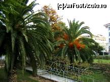 [P06] Grădina bisericii Panagia Chalkeon » foto by Aqvila
 - 
<span class="allrVoted glyphicon glyphicon-heart hidden" id="av303451"></span>
<a class="m-l-10 hidden" id="sv303451" onclick="voting_Foto_DelVot(,303451,4165)" role="button">șterge vot <span class="glyphicon glyphicon-remove"></span></a>
<a id="v9303451" class=" c-red"  onclick="voting_Foto_SetVot(303451)" role="button"><span class="glyphicon glyphicon-heart-empty"></span> <b>LIKE</b> = Votează poza</a> <img class="hidden"  id="f303451W9" src="/imagini/loader.gif" border="0" /><span class="AjErrMes hidden" id="e303451ErM"></span>