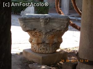 [P33] Rotonda, prin curte.  » foto by elviramvio
 - 
<span class="allrVoted glyphicon glyphicon-heart hidden" id="av907618"></span>
<a class="m-l-10 hidden" id="sv907618" onclick="voting_Foto_DelVot(,907618,4165)" role="button">șterge vot <span class="glyphicon glyphicon-remove"></span></a>
<a id="v9907618" class=" c-red"  onclick="voting_Foto_SetVot(907618)" role="button"><span class="glyphicon glyphicon-heart-empty"></span> <b>LIKE</b> = Votează poza</a> <img class="hidden"  id="f907618W9" src="/imagini/loader.gif" border="0" /><span class="AjErrMes hidden" id="e907618ErM"></span>