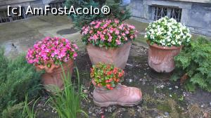 [P28] și alte flori...  » foto by maryka
 - 
<span class="allrVoted glyphicon glyphicon-heart hidden" id="av760627"></span>
<a class="m-l-10 hidden" id="sv760627" onclick="voting_Foto_DelVot(,760627,4175)" role="button">șterge vot <span class="glyphicon glyphicon-remove"></span></a>
<a id="v9760627" class=" c-red"  onclick="voting_Foto_SetVot(760627)" role="button"><span class="glyphicon glyphicon-heart-empty"></span> <b>LIKE</b> = Votează poza</a> <img class="hidden"  id="f760627W9" src="/imagini/loader.gif" border="0" /><span class="AjErrMes hidden" id="e760627ErM"></span>