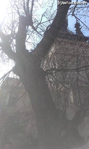 [P02]  -- <small>// FĂRĂ DESCRIERE</small> » foto by alina.prisecaru
 - 
<span class="allrVoted glyphicon glyphicon-heart hidden" id="av619585"></span>
<a class="m-l-10 hidden" id="sv619585" onclick="voting_Foto_DelVot(,619585,4175)" role="button">șterge vot <span class="glyphicon glyphicon-remove"></span></a>
<a id="v9619585" class=" c-red"  onclick="voting_Foto_SetVot(619585)" role="button"><span class="glyphicon glyphicon-heart-empty"></span> <b>LIKE</b> = Votează poza</a> <img class="hidden"  id="f619585W9" src="/imagini/loader.gif" border="0" /><span class="AjErrMes hidden" id="e619585ErM"></span>