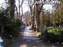 [P16] Cimitirul vechi din deal ,unde la intrare scrie : Oricine ai fi gandeste-te ca locul in care ai intrat e un cimitir! » foto by Cristina67
 - 
<span class="allrVoted glyphicon glyphicon-heart hidden" id="av33805"></span>
<a class="m-l-10 hidden" id="sv33805" onclick="voting_Foto_DelVot(,33805,4175)" role="button">șterge vot <span class="glyphicon glyphicon-remove"></span></a>
<a id="v933805" class=" c-red"  onclick="voting_Foto_SetVot(33805)" role="button"><span class="glyphicon glyphicon-heart-empty"></span> <b>LIKE</b> = Votează poza</a> <img class="hidden"  id="f33805W9" src="/imagini/loader.gif" border="0" /><span class="AjErrMes hidden" id="e33805ErM"></span>