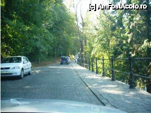 [P32] Drumul de acces spre cetate, jos fiind şi locul de plată a intrării » foto by iccata
 - 
<span class="allrVoted glyphicon glyphicon-heart hidden" id="av453745"></span>
<a class="m-l-10 hidden" id="sv453745" onclick="voting_Foto_DelVot(,453745,4175)" role="button">șterge vot <span class="glyphicon glyphicon-remove"></span></a>
<a id="v9453745" class=" c-red"  onclick="voting_Foto_SetVot(453745)" role="button"><span class="glyphicon glyphicon-heart-empty"></span> <b>LIKE</b> = Votează poza</a> <img class="hidden"  id="f453745W9" src="/imagini/loader.gif" border="0" /><span class="AjErrMes hidden" id="e453745ErM"></span>