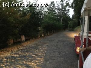 [P24] Sighisoara - Si usor, usor, trenuletul ne-a adus inapoi in cetate » foto by mishu
 - 
<span class="allrVoted glyphicon glyphicon-heart hidden" id="av912907"></span>
<a class="m-l-10 hidden" id="sv912907" onclick="voting_Foto_DelVot(,912907,4175)" role="button">șterge vot <span class="glyphicon glyphicon-remove"></span></a>
<a id="v9912907" class=" c-red"  onclick="voting_Foto_SetVot(912907)" role="button"><span class="glyphicon glyphicon-heart-empty"></span> <b>LIKE</b> = Votează poza</a> <img class="hidden"  id="f912907W9" src="/imagini/loader.gif" border="0" /><span class="AjErrMes hidden" id="e912907ErM"></span>