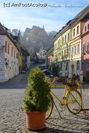 [P04] Sighișoara- centru » foto by micamiha
 - 
<span class="allrVoted glyphicon glyphicon-heart hidden" id="av1154007"></span>
<a class="m-l-10 hidden" id="sv1154007" onclick="voting_Foto_DelVot(,1154007,4175)" role="button">șterge vot <span class="glyphicon glyphicon-remove"></span></a>
<a id="v91154007" class=" c-red"  onclick="voting_Foto_SetVot(1154007)" role="button"><span class="glyphicon glyphicon-heart-empty"></span> <b>LIKE</b> = Votează poza</a> <img class="hidden"  id="f1154007W9" src="/imagini/loader.gif" border="0" /><span class="AjErrMes hidden" id="e1154007ErM"></span>