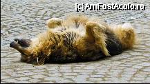 [P07] Paznicul bancomatului - part 2 » foto by C05T1N
 - 
<span class="allrVoted glyphicon glyphicon-heart hidden" id="av75964"></span>
<a class="m-l-10 hidden" id="sv75964" onclick="voting_Foto_DelVot(,75964,4175)" role="button">șterge vot <span class="glyphicon glyphicon-remove"></span></a>
<a id="v975964" class=" c-red"  onclick="voting_Foto_SetVot(75964)" role="button"><span class="glyphicon glyphicon-heart-empty"></span> <b>LIKE</b> = Votează poza</a> <img class="hidden"  id="f75964W9" src="/imagini/loader.gif" border="0" /><span class="AjErrMes hidden" id="e75964ErM"></span>