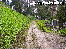 [P09] Cimitirul din cetate » foto by C05T1N
 - 
<span class="allrVoted glyphicon glyphicon-heart hidden" id="av75966"></span>
<a class="m-l-10 hidden" id="sv75966" onclick="voting_Foto_DelVot(,75966,4175)" role="button">șterge vot <span class="glyphicon glyphicon-remove"></span></a>
<a id="v975966" class=" c-red"  onclick="voting_Foto_SetVot(75966)" role="button"><span class="glyphicon glyphicon-heart-empty"></span> <b>LIKE</b> = Votează poza</a> <img class="hidden"  id="f75966W9" src="/imagini/loader.gif" border="0" /><span class="AjErrMes hidden" id="e75966ErM"></span>
