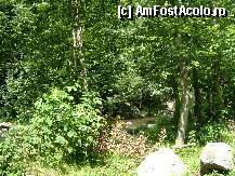 [P2x] loc de campare pe Valea Draganului » foto by Andc
 - 
<span class="allrVoted glyphicon glyphicon-heart hidden" id="av34210"></span>
<a class="m-l-10 hidden" id="sv34210" onclick="voting_Foto_DelVot(,34210,4186)" role="button">șterge vot <span class="glyphicon glyphicon-remove"></span></a>
<a id="v934210" class=" c-red"  onclick="voting_Foto_SetVot(34210)" role="button"><span class="glyphicon glyphicon-heart-empty"></span> <b>LIKE</b> = Votează poza</a> <img class="hidden"  id="f34210W9" src="/imagini/loader.gif" border="0" /><span class="AjErrMes hidden" id="e34210ErM"></span>