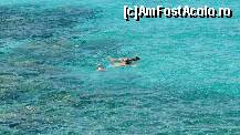 [P09] Albastrul plajei portocalii....... » foto by anuszka
 - 
<span class="allrVoted glyphicon glyphicon-heart hidden" id="av293514"></span>
<a class="m-l-10 hidden" id="sv293514" onclick="voting_Foto_DelVot(,293514,4187)" role="button">șterge vot <span class="glyphicon glyphicon-remove"></span></a>
<a id="v9293514" class=" c-red"  onclick="voting_Foto_SetVot(293514)" role="button"><span class="glyphicon glyphicon-heart-empty"></span> <b>LIKE</b> = Votează poza</a> <img class="hidden"  id="f293514W9" src="/imagini/loader.gif" border="0" /><span class="AjErrMes hidden" id="e293514ErM"></span>