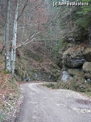 [P12] Locul unde drumul iese din Chei. În stânga se vede un traseu marcat ce face legătura cu satul Ciocanu » foto by Claudiu U.
 - 
<span class="allrVoted glyphicon glyphicon-heart hidden" id="av414617"></span>
<a class="m-l-10 hidden" id="sv414617" onclick="voting_Foto_DelVot(,414617,4190)" role="button">șterge vot <span class="glyphicon glyphicon-remove"></span></a>
<a id="v9414617" class=" c-red"  onclick="voting_Foto_SetVot(414617)" role="button"><span class="glyphicon glyphicon-heart-empty"></span> <b>LIKE</b> = Votează poza</a> <img class="hidden"  id="f414617W9" src="/imagini/loader.gif" border="0" /><span class="AjErrMes hidden" id="e414617ErM"></span>