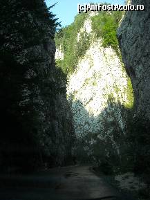 [P04]  -- <small>// FĂRĂ DESCRIERE</small> » foto by UiteUnPaiRoz
 - 
<span class="allrVoted glyphicon glyphicon-heart hidden" id="av118967"></span>
<a class="m-l-10 hidden" id="sv118967" onclick="voting_Foto_DelVot(,118967,4190)" role="button">șterge vot <span class="glyphicon glyphicon-remove"></span></a>
<a id="v9118967" class=" c-red"  onclick="voting_Foto_SetVot(118967)" role="button"><span class="glyphicon glyphicon-heart-empty"></span> <b>LIKE</b> = Votează poza</a> <img class="hidden"  id="f118967W9" src="/imagini/loader.gif" border="0" /><span class="AjErrMes hidden" id="e118967ErM"></span>