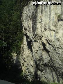 [P08]  -- <small>// FĂRĂ DESCRIERE</small> » foto by UiteUnPaiRoz
 - 
<span class="allrVoted glyphicon glyphicon-heart hidden" id="av118977"></span>
<a class="m-l-10 hidden" id="sv118977" onclick="voting_Foto_DelVot(,118977,4190)" role="button">șterge vot <span class="glyphicon glyphicon-remove"></span></a>
<a id="v9118977" class=" c-red"  onclick="voting_Foto_SetVot(118977)" role="button"><span class="glyphicon glyphicon-heart-empty"></span> <b>LIKE</b> = Votează poza</a> <img class="hidden"  id="f118977W9" src="/imagini/loader.gif" border="0" /><span class="AjErrMes hidden" id="e118977ErM"></span>