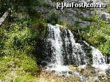 [P20] Mini cascada din parcul national » foto by dannek
 - 
<span class="allrVoted glyphicon glyphicon-heart hidden" id="av113154"></span>
<a class="m-l-10 hidden" id="sv113154" onclick="voting_Foto_DelVot(,113154,4190)" role="button">șterge vot <span class="glyphicon glyphicon-remove"></span></a>
<a id="v9113154" class=" c-red"  onclick="voting_Foto_SetVot(113154)" role="button"><span class="glyphicon glyphicon-heart-empty"></span> <b>LIKE</b> = Votează poza</a> <img class="hidden"  id="f113154W9" src="/imagini/loader.gif" border="0" /><span class="AjErrMes hidden" id="e113154ErM"></span>