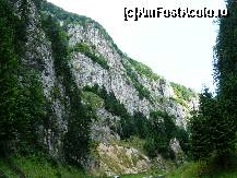 [P08] Parcul National Cheile Dambovicioarei » foto by dannek
 - 
<span class="allrVoted glyphicon glyphicon-heart hidden" id="av113142"></span>
<a class="m-l-10 hidden" id="sv113142" onclick="voting_Foto_DelVot(,113142,4190)" role="button">șterge vot <span class="glyphicon glyphicon-remove"></span></a>
<a id="v9113142" class=" c-red"  onclick="voting_Foto_SetVot(113142)" role="button"><span class="glyphicon glyphicon-heart-empty"></span> <b>LIKE</b> = Votează poza</a> <img class="hidden"  id="f113142W9" src="/imagini/loader.gif" border="0" /><span class="AjErrMes hidden" id="e113142ErM"></span>