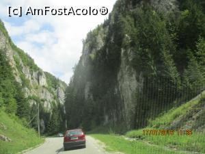 [P07]  -- <small>// FĂRĂ DESCRIERE</small> » foto by elviramvio
 - 
<span class="allrVoted glyphicon glyphicon-heart hidden" id="av763582"></span>
<a class="m-l-10 hidden" id="sv763582" onclick="voting_Foto_DelVot(,763582,4190)" role="button">șterge vot <span class="glyphicon glyphicon-remove"></span></a>
<a id="v9763582" class=" c-red"  onclick="voting_Foto_SetVot(763582)" role="button"><span class="glyphicon glyphicon-heart-empty"></span> <b>LIKE</b> = Votează poza</a> <img class="hidden"  id="f763582W9" src="/imagini/loader.gif" border="0" /><span class="AjErrMes hidden" id="e763582ErM"></span>