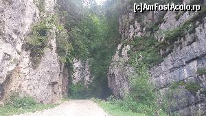 [P17] În Valea Cheii » foto by costy69*
 - 
<span class="allrVoted glyphicon glyphicon-heart hidden" id="av655605"></span>
<a class="m-l-10 hidden" id="sv655605" onclick="voting_Foto_DelVot(,655605,4190)" role="button">șterge vot <span class="glyphicon glyphicon-remove"></span></a>
<a id="v9655605" class=" c-red"  onclick="voting_Foto_SetVot(655605)" role="button"><span class="glyphicon glyphicon-heart-empty"></span> <b>LIKE</b> = Votează poza</a> <img class="hidden"  id="f655605W9" src="/imagini/loader.gif" border="0" /><span class="AjErrMes hidden" id="e655605ErM"></span>