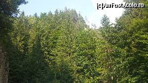 [P26] Altă imagine din Valea Cheii » foto by costy69*
 - 
<span class="allrVoted glyphicon glyphicon-heart hidden" id="av655615"></span>
<a class="m-l-10 hidden" id="sv655615" onclick="voting_Foto_DelVot(,655615,4190)" role="button">șterge vot <span class="glyphicon glyphicon-remove"></span></a>
<a id="v9655615" class=" c-red"  onclick="voting_Foto_SetVot(655615)" role="button"><span class="glyphicon glyphicon-heart-empty"></span> <b>LIKE</b> = Votează poza</a> <img class="hidden"  id="f655615W9" src="/imagini/loader.gif" border="0" /><span class="AjErrMes hidden" id="e655615ErM"></span>