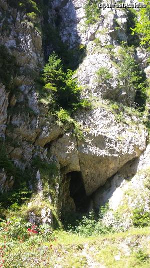 [P33] În Cheile Brusturetului » foto by costy69*
 - 
<span class="allrVoted glyphicon glyphicon-heart hidden" id="av655633"></span>
<a class="m-l-10 hidden" id="sv655633" onclick="voting_Foto_DelVot(,655633,4190)" role="button">șterge vot <span class="glyphicon glyphicon-remove"></span></a>
<a id="v9655633" class=" c-red"  onclick="voting_Foto_SetVot(655633)" role="button"><span class="glyphicon glyphicon-heart-empty"></span> <b>LIKE</b> = Votează poza</a> <img class="hidden"  id="f655633W9" src="/imagini/loader.gif" border="0" /><span class="AjErrMes hidden" id="e655633ErM"></span>