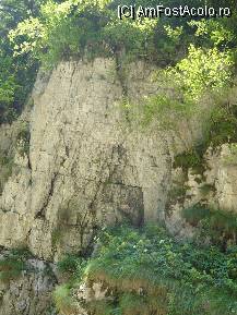 [P03] minunata natura » foto by alinush_geo
 - 
<span class="allrVoted glyphicon glyphicon-heart hidden" id="av37151"></span>
<a class="m-l-10 hidden" id="sv37151" onclick="voting_Foto_DelVot(,37151,4190)" role="button">șterge vot <span class="glyphicon glyphicon-remove"></span></a>
<a id="v937151" class=" c-red"  onclick="voting_Foto_SetVot(37151)" role="button"><span class="glyphicon glyphicon-heart-empty"></span> <b>LIKE</b> = Votează poza</a> <img class="hidden"  id="f37151W9" src="/imagini/loader.gif" border="0" /><span class="AjErrMes hidden" id="e37151ErM"></span>
