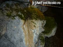 [P12]  -- <small>// FĂRĂ DESCRIERE</small> » foto by alinush_geo
 - 
<span class="allrVoted glyphicon glyphicon-heart hidden" id="av39804"></span>
<a class="m-l-10 hidden" id="sv39804" onclick="voting_Foto_DelVot(,39804,4190)" role="button">șterge vot <span class="glyphicon glyphicon-remove"></span></a>
<a id="v939804" class=" c-red"  onclick="voting_Foto_SetVot(39804)" role="button"><span class="glyphicon glyphicon-heart-empty"></span> <b>LIKE</b> = Votează poza</a> <img class="hidden"  id="f39804W9" src="/imagini/loader.gif" border="0" /><span class="AjErrMes hidden" id="e39804ErM"></span>