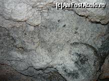 [P05]  -- <small>// FĂRĂ DESCRIERE</small> » foto by alinush_geo
 - 
<span class="allrVoted glyphicon glyphicon-heart hidden" id="av39788"></span>
<a class="m-l-10 hidden" id="sv39788" onclick="voting_Foto_DelVot(,39788,4190)" role="button">șterge vot <span class="glyphicon glyphicon-remove"></span></a>
<a id="v939788" class=" c-red"  onclick="voting_Foto_SetVot(39788)" role="button"><span class="glyphicon glyphicon-heart-empty"></span> <b>LIKE</b> = Votează poza</a> <img class="hidden"  id="f39788W9" src="/imagini/loader.gif" border="0" /><span class="AjErrMes hidden" id="e39788ErM"></span>