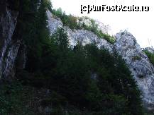 [P29]  -- <small>// FĂRĂ DESCRIERE</small> » foto by gushpi
 - 
<span class="allrVoted glyphicon glyphicon-heart hidden" id="av59247"></span>
<a class="m-l-10 hidden" id="sv59247" onclick="voting_Foto_DelVot(,59247,4190)" role="button">șterge vot <span class="glyphicon glyphicon-remove"></span></a>
<a id="v959247" class=" c-red"  onclick="voting_Foto_SetVot(59247)" role="button"><span class="glyphicon glyphicon-heart-empty"></span> <b>LIKE</b> = Votează poza</a> <img class="hidden"  id="f59247W9" src="/imagini/loader.gif" border="0" /><span class="AjErrMes hidden" id="e59247ErM"></span>