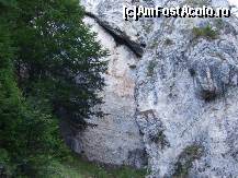 [P31] feliile orizontale de stanca stau 'peste' noi! » foto by gushpi
 - 
<span class="allrVoted glyphicon glyphicon-heart hidden" id="av59249"></span>
<a class="m-l-10 hidden" id="sv59249" onclick="voting_Foto_DelVot(,59249,4190)" role="button">șterge vot <span class="glyphicon glyphicon-remove"></span></a>
<a id="v959249" class=" c-red"  onclick="voting_Foto_SetVot(59249)" role="button"><span class="glyphicon glyphicon-heart-empty"></span> <b>LIKE</b> = Votează poza</a> <img class="hidden"  id="f59249W9" src="/imagini/loader.gif" border="0" /><span class="AjErrMes hidden" id="e59249ErM"></span>