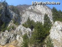 [P08] cum a reusit un rau atat de plapand sa macine stanca? » foto by dorgo
 - 
<span class="allrVoted glyphicon glyphicon-heart hidden" id="av99474"></span>
<a class="m-l-10 hidden" id="sv99474" onclick="voting_Foto_DelVot(,99474,4190)" role="button">șterge vot <span class="glyphicon glyphicon-remove"></span></a>
<a id="v999474" class=" c-red"  onclick="voting_Foto_SetVot(99474)" role="button"><span class="glyphicon glyphicon-heart-empty"></span> <b>LIKE</b> = Votează poza</a> <img class="hidden"  id="f99474W9" src="/imagini/loader.gif" border="0" /><span class="AjErrMes hidden" id="e99474ErM"></span>