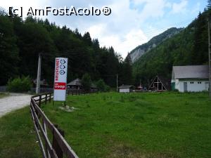 [P13] Ajungem în poiana Cabanei Brustureț. » foto by tata123 🔱
 - 
<span class="allrVoted glyphicon glyphicon-heart hidden" id="av1308951"></span>
<a class="m-l-10 hidden" id="sv1308951" onclick="voting_Foto_DelVot(,1308951,4190)" role="button">șterge vot <span class="glyphicon glyphicon-remove"></span></a>
<a id="v91308951" class=" c-red"  onclick="voting_Foto_SetVot(1308951)" role="button"><span class="glyphicon glyphicon-heart-empty"></span> <b>LIKE</b> = Votează poza</a> <img class="hidden"  id="f1308951W9" src="/imagini/loader.gif" border="0" /><span class="AjErrMes hidden" id="e1308951ErM"></span>