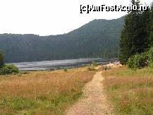 [P01] Pentru prima data ajungem la Lacul Sf Ana » foto by ionescunic
 - 
<span class="allrVoted glyphicon glyphicon-heart hidden" id="av43628"></span>
<a class="m-l-10 hidden" id="sv43628" onclick="voting_Foto_DelVot(,43628,4197)" role="button">șterge vot <span class="glyphicon glyphicon-remove"></span></a>
<a id="v943628" class=" c-red"  onclick="voting_Foto_SetVot(43628)" role="button"><span class="glyphicon glyphicon-heart-empty"></span> <b>LIKE</b> = Votează poza</a> <img class="hidden"  id="f43628W9" src="/imagini/loader.gif" border="0" /><span class="AjErrMes hidden" id="e43628ErM"></span>