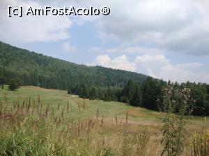 [P10] În partea dreaptă se observă drumeagul către tinovul Mohoș. Vom ajunge și acolo în anii ce urmează!  » foto by Floryn81
 - 
<span class="allrVoted glyphicon glyphicon-heart hidden" id="av799985"></span>
<a class="m-l-10 hidden" id="sv799985" onclick="voting_Foto_DelVot(,799985,4197)" role="button">șterge vot <span class="glyphicon glyphicon-remove"></span></a>
<a id="v9799985" class=" c-red"  onclick="voting_Foto_SetVot(799985)" role="button"><span class="glyphicon glyphicon-heart-empty"></span> <b>LIKE</b> = Votează poza</a> <img class="hidden"  id="f799985W9" src="/imagini/loader.gif" border="0" /><span class="AjErrMes hidden" id="e799985ErM"></span>