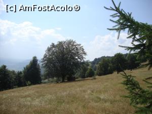 [P08] Nu mai aveam mult de mers până la lacul Sfânta Ana.  » foto by Floryn81
 - 
<span class="allrVoted glyphicon glyphicon-heart hidden" id="av799980"></span>
<a class="m-l-10 hidden" id="sv799980" onclick="voting_Foto_DelVot(,799980,4197)" role="button">șterge vot <span class="glyphicon glyphicon-remove"></span></a>
<a id="v9799980" class=" c-red"  onclick="voting_Foto_SetVot(799980)" role="button"><span class="glyphicon glyphicon-heart-empty"></span> <b>LIKE</b> = Votează poza</a> <img class="hidden"  id="f799980W9" src="/imagini/loader.gif" border="0" /><span class="AjErrMes hidden" id="e799980ErM"></span>
