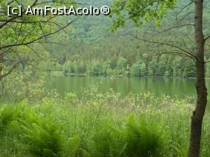 [P12] Lacul Sfânta Ana - Fără nici un fel de descriere. » foto by iulianic
 - 
<span class="allrVoted glyphicon glyphicon-heart hidden" id="av1375336"></span>
<a class="m-l-10 hidden" id="sv1375336" onclick="voting_Foto_DelVot(,1375336,4197)" role="button">șterge vot <span class="glyphicon glyphicon-remove"></span></a>
<a id="v91375336" class=" c-red"  onclick="voting_Foto_SetVot(1375336)" role="button"><span class="glyphicon glyphicon-heart-empty"></span> <b>LIKE</b> = Votează poza</a> <img class="hidden"  id="f1375336W9" src="/imagini/loader.gif" border="0" /><span class="AjErrMes hidden" id="e1375336ErM"></span>