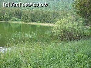 [P14] Lacul Sfânta Ana - Peisajul verde, proaspăt, natural. » foto by iulianic
 - 
<span class="allrVoted glyphicon glyphicon-heart hidden" id="av1375338"></span>
<a class="m-l-10 hidden" id="sv1375338" onclick="voting_Foto_DelVot(,1375338,4197)" role="button">șterge vot <span class="glyphicon glyphicon-remove"></span></a>
<a id="v91375338" class=" c-red"  onclick="voting_Foto_SetVot(1375338)" role="button"><span class="glyphicon glyphicon-heart-empty"></span> <b>LIKE</b> = Votează poza</a> <img class="hidden"  id="f1375338W9" src="/imagini/loader.gif" border="0" /><span class="AjErrMes hidden" id="e1375338ErM"></span>
